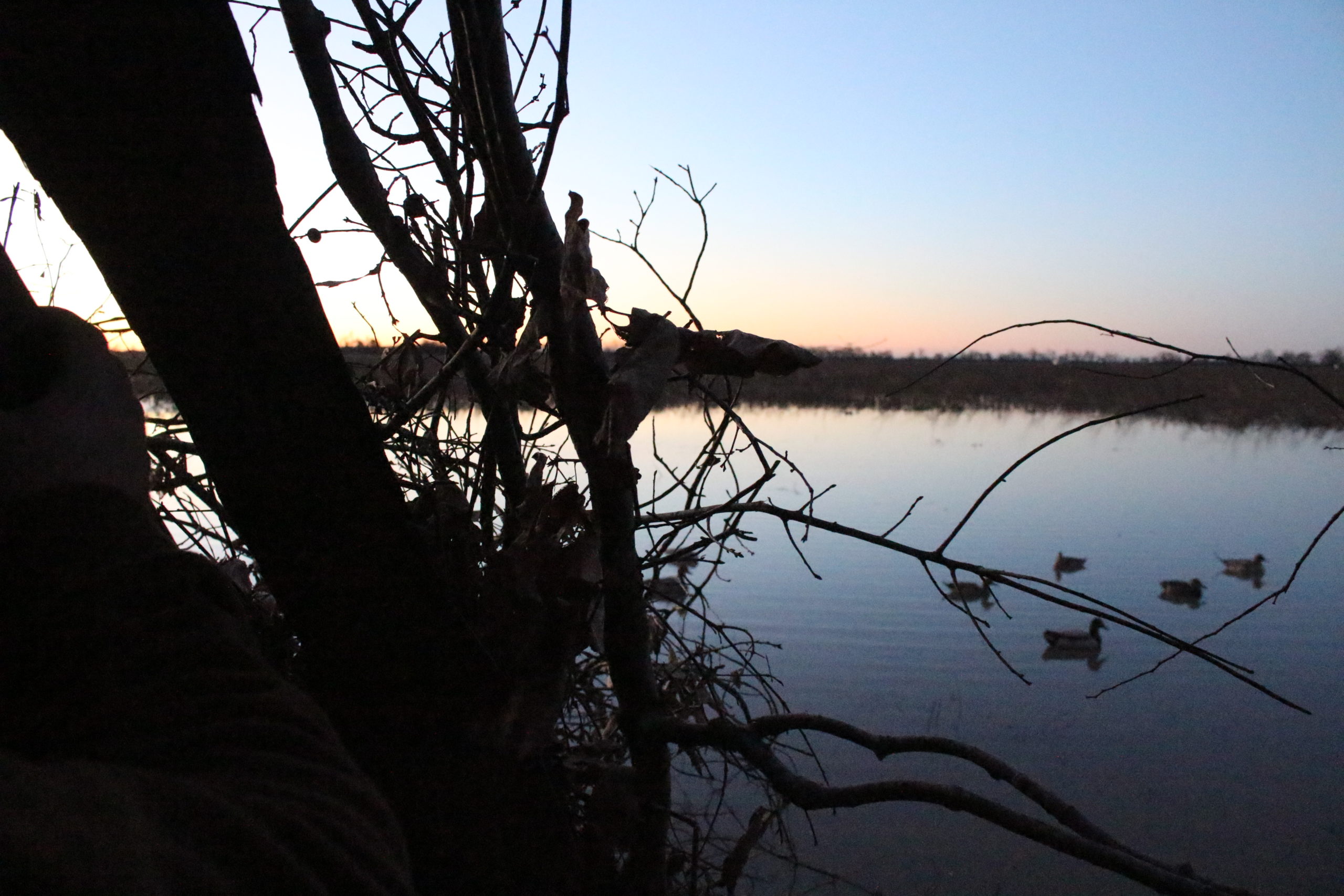 Arkansas Duckmasters — photo 2
