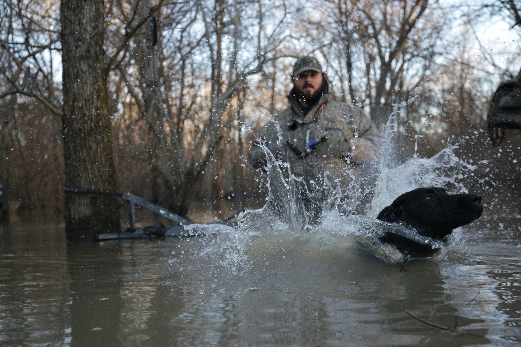 Arkansas Duckmasters — photo 4